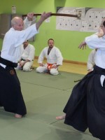 Aikido Bokken