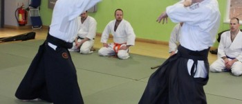 Aikido Bokken