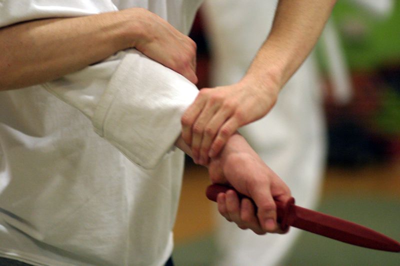 Aikido seminar