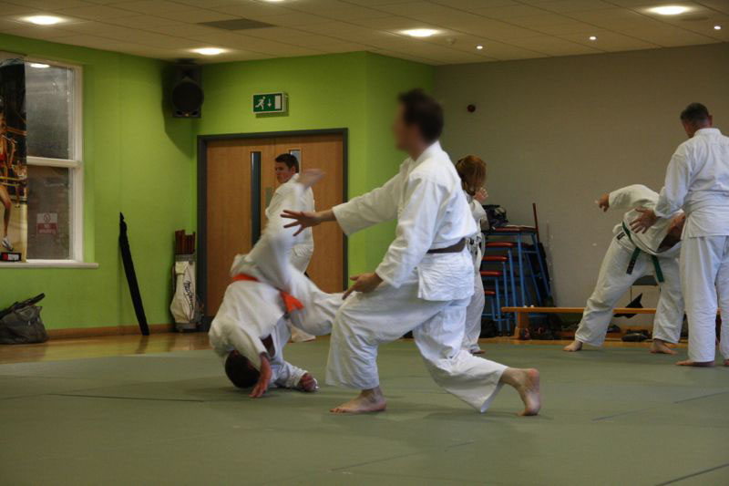 Aikido Throw into breakfall