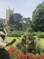 Aikido in the Abbey Gardens