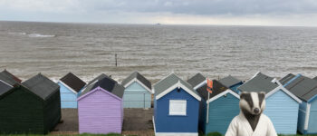 Meditating at the sea front
