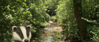 Thinking by the river in Clare